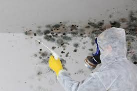 Professional Mold Removal in Dorneyville, PA